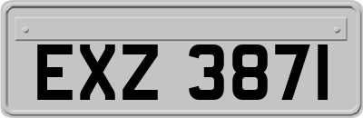 EXZ3871