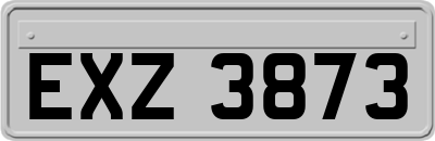 EXZ3873