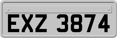 EXZ3874
