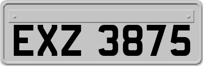 EXZ3875
