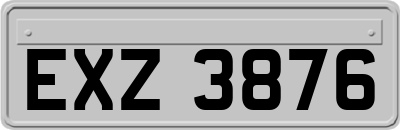 EXZ3876