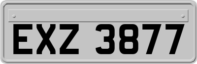 EXZ3877