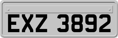 EXZ3892