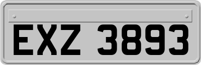 EXZ3893