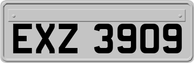 EXZ3909