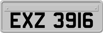 EXZ3916