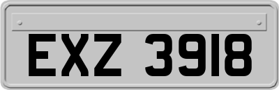 EXZ3918