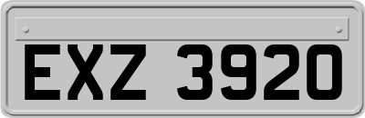 EXZ3920