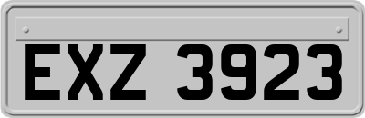 EXZ3923
