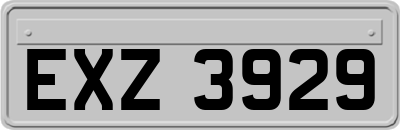 EXZ3929