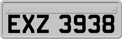 EXZ3938