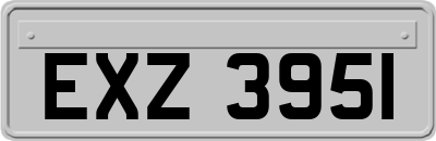 EXZ3951