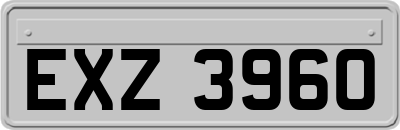 EXZ3960