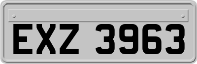EXZ3963