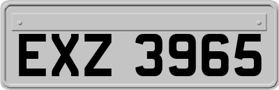 EXZ3965