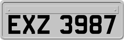 EXZ3987