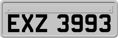 EXZ3993
