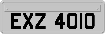EXZ4010