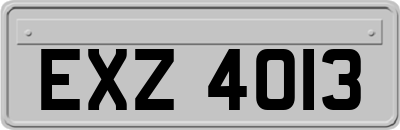 EXZ4013