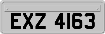 EXZ4163