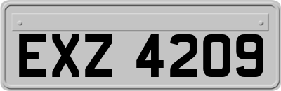 EXZ4209