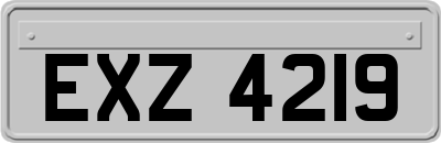EXZ4219