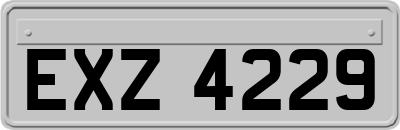 EXZ4229