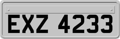 EXZ4233