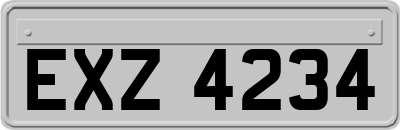 EXZ4234
