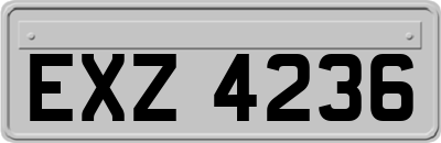 EXZ4236