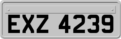 EXZ4239
