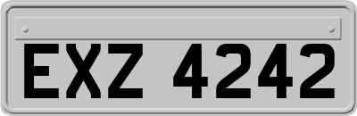 EXZ4242