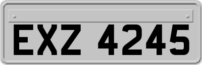EXZ4245