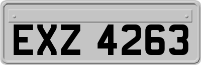 EXZ4263