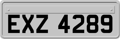EXZ4289