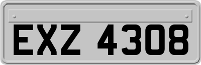 EXZ4308