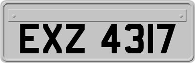 EXZ4317