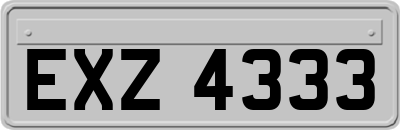 EXZ4333
