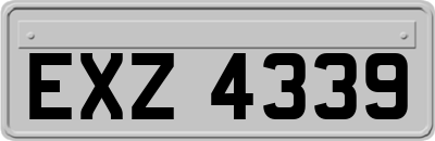 EXZ4339