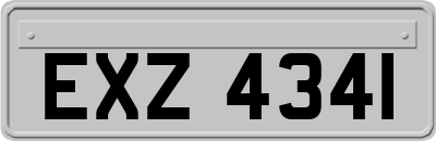 EXZ4341
