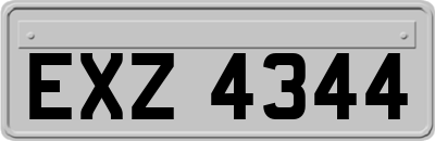 EXZ4344