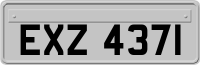 EXZ4371
