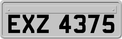 EXZ4375
