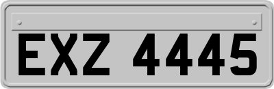 EXZ4445