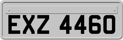 EXZ4460