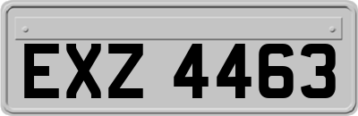 EXZ4463
