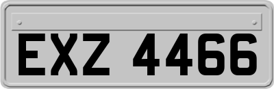 EXZ4466