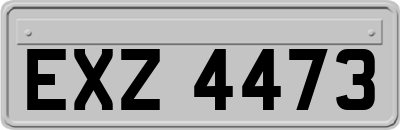 EXZ4473