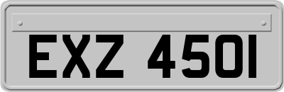 EXZ4501