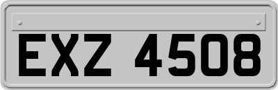 EXZ4508